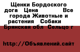 Щенки Бордоского дога › Цена ­ 60 000 - Все города Животные и растения » Собаки   . Брянская обл.,Сельцо г.